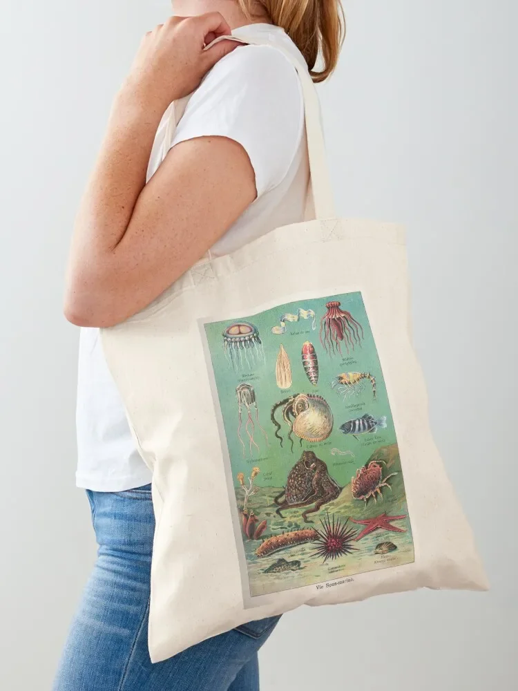 Vintage french biology illustration - Quillet - Vie sous-marine Tote Bag Customizable tote bag canvas shopping bag