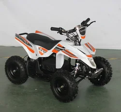36V 500w/800w/1000w Electric Atv Brush Motor Chain Drive Mini Quad Bike Automatic 6inch Tires Tracked Vehicle for Kids