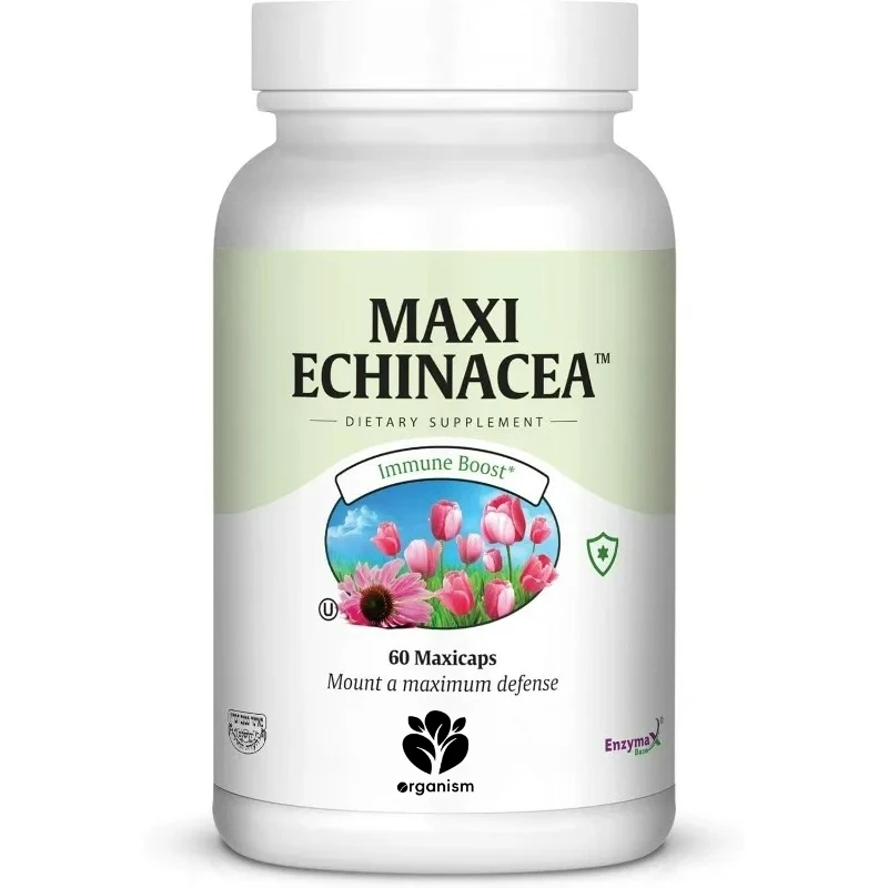 

Healthy Pinecone Chrysanthemum -4 10% echinacosides rdized Extraction - Immune -60 capsules
