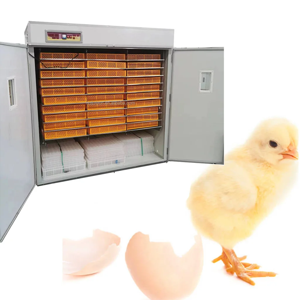 Africa Popular Electric 5000 Chicken Egg Incubator Setter Egg Hatcher HJ-IH5280