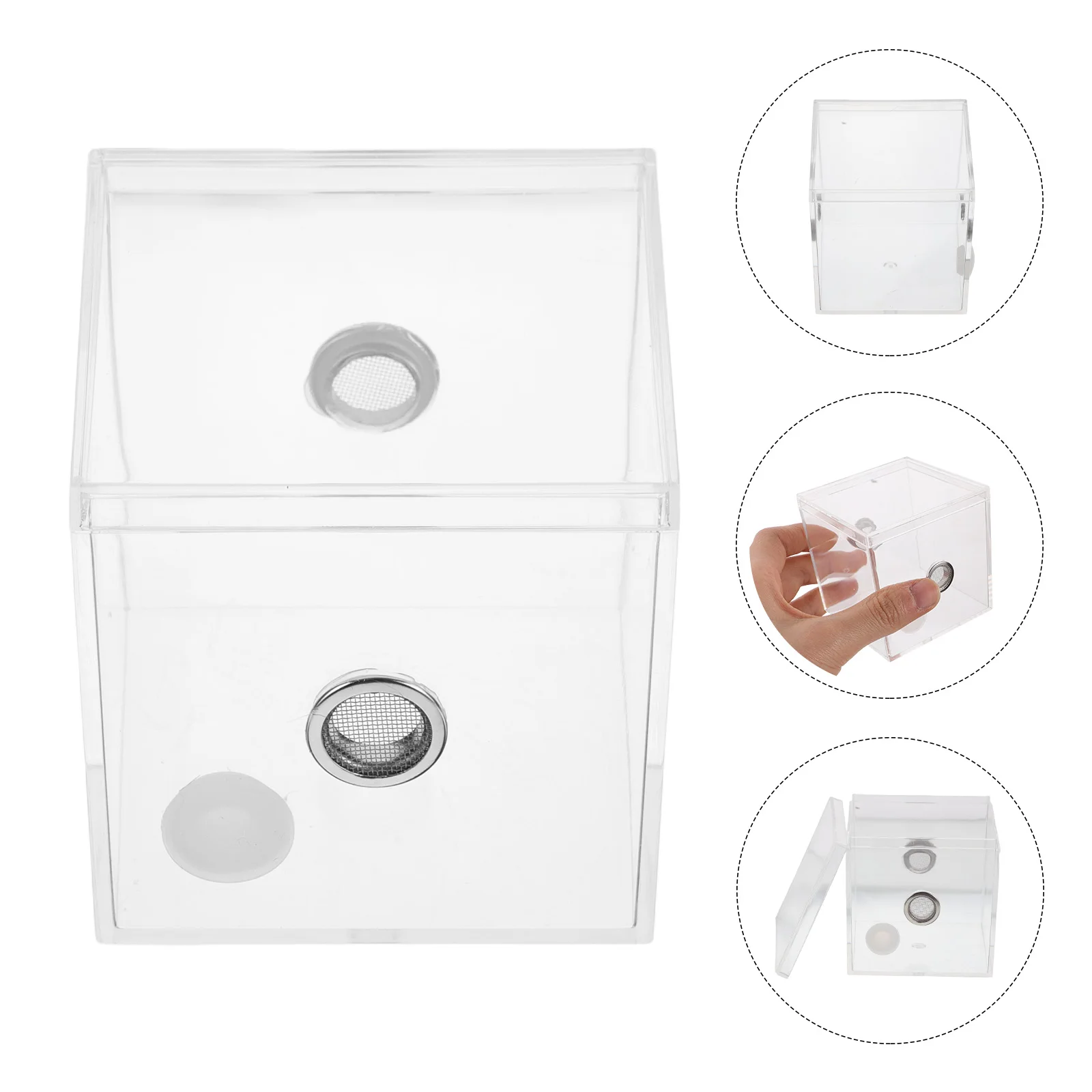 

Transparent Cricket Keeper Mini Terrarium Reptile Enclosure Spider Feeding Cage Tiny Container High Transparency Indoor Outdoor