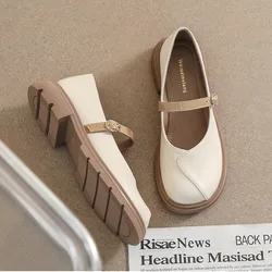 Thick Soled Mary Jane Shoes Women's New Spring Autumn Shallow Mouth Loafers Round Toe Single Shoes for Women Wide Heels Women