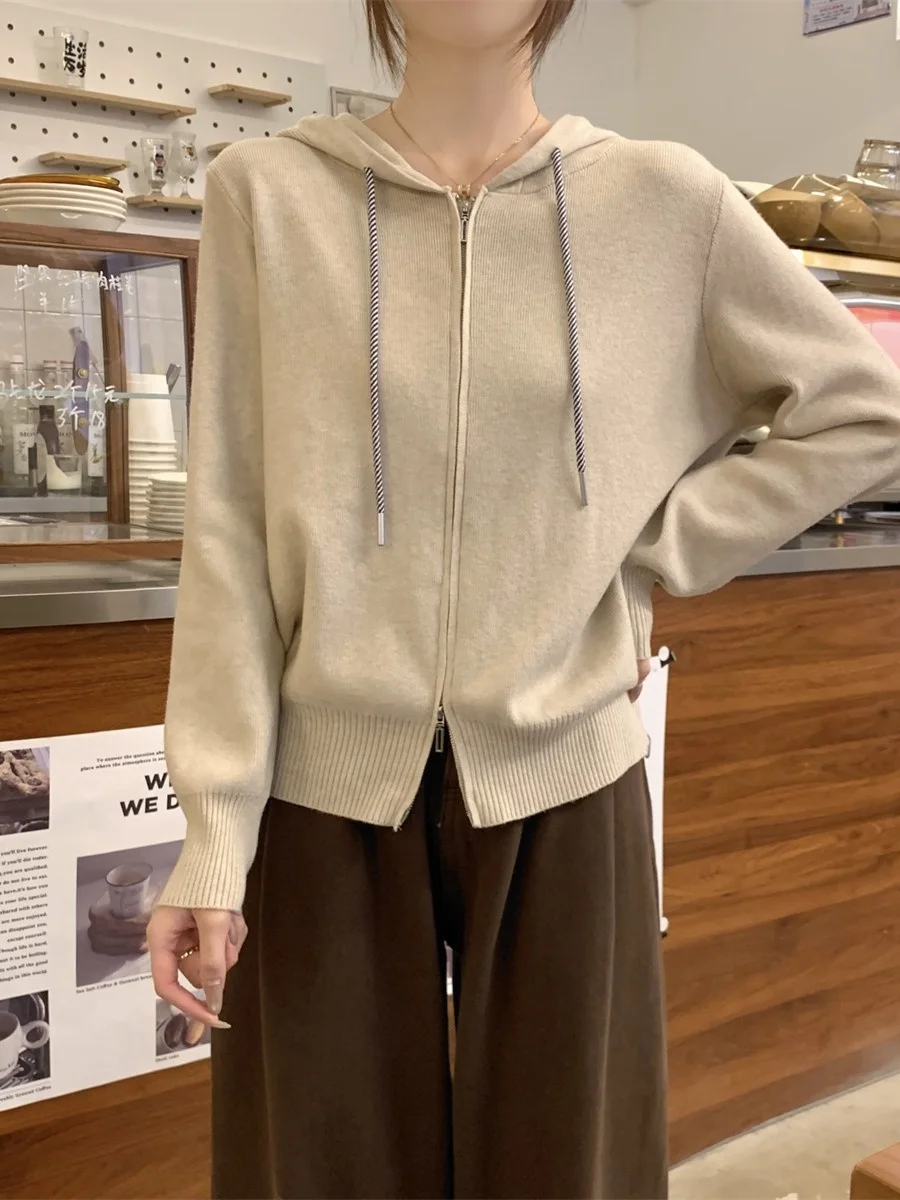 Inverno 2025 novo coreano sle solto ajuste zíper com capuz andy fce malha cardigan camisola jaet feminino faion casual wear