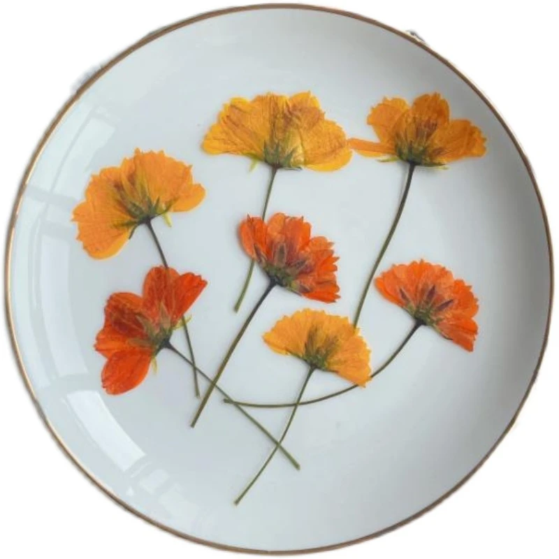 

250pcs Pressed Dried Flower Side Cosmos sulphureus Herbarium For Epoxy Resin Jewelry Making Face Makeup Nail Art Craft DIY