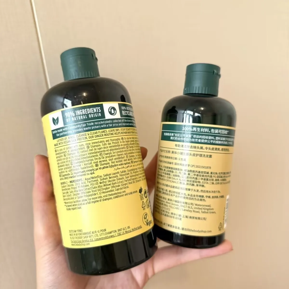 

Natural Ginger Shampoo For Shiny Dandruff Care Gently Removes Flakes Soothes Dry Itchy Scalp Vegan Formula Sensitive Scalp 400ml