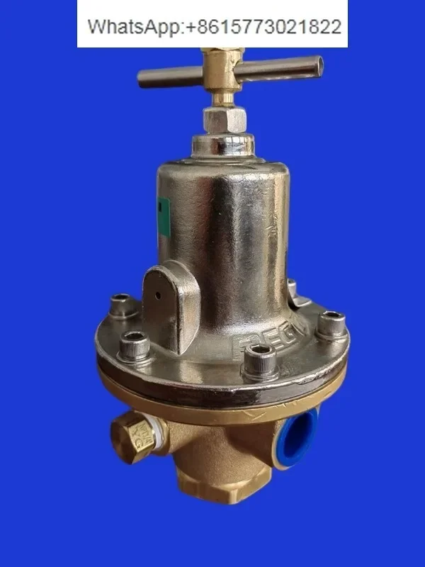 

REGO Power 1784C Oxygen Nitrogen Argon Special Pressure Reducing Valve LNG Industrial Pressure Regulating Valve NPT1/2