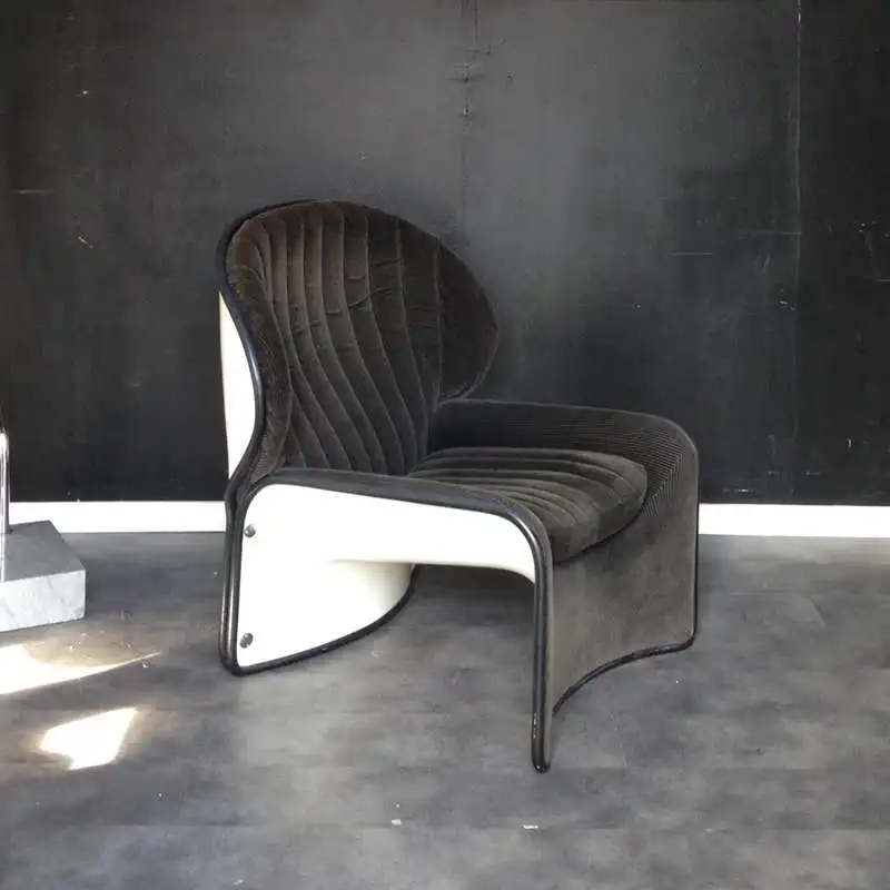 

✿–q New Innovation Nordic Designer Light - Luxury Unique FRP Lounge Chair for Hotel Home Office Living Room Furniture Decoration