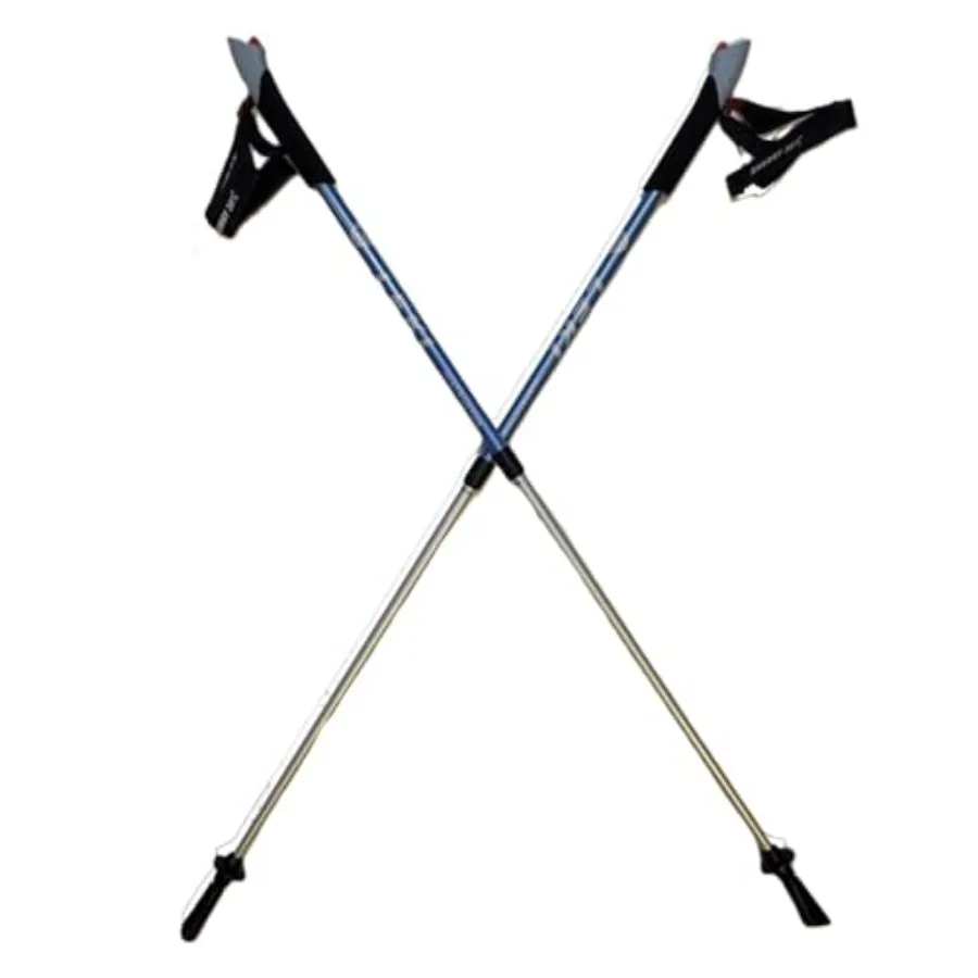 Nordic Walking Inst…
