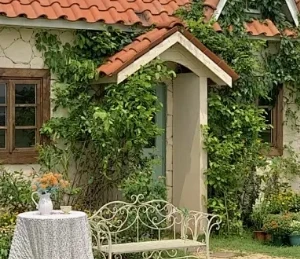 2Din 7 "ستيريو Carplay أندرويد سيارة الوسائط المتعددة راديو لتويوتا بريفيا XR50 2007-2019 Estima Tarago 2006-2016 رئيس وحدة GPS WIFI