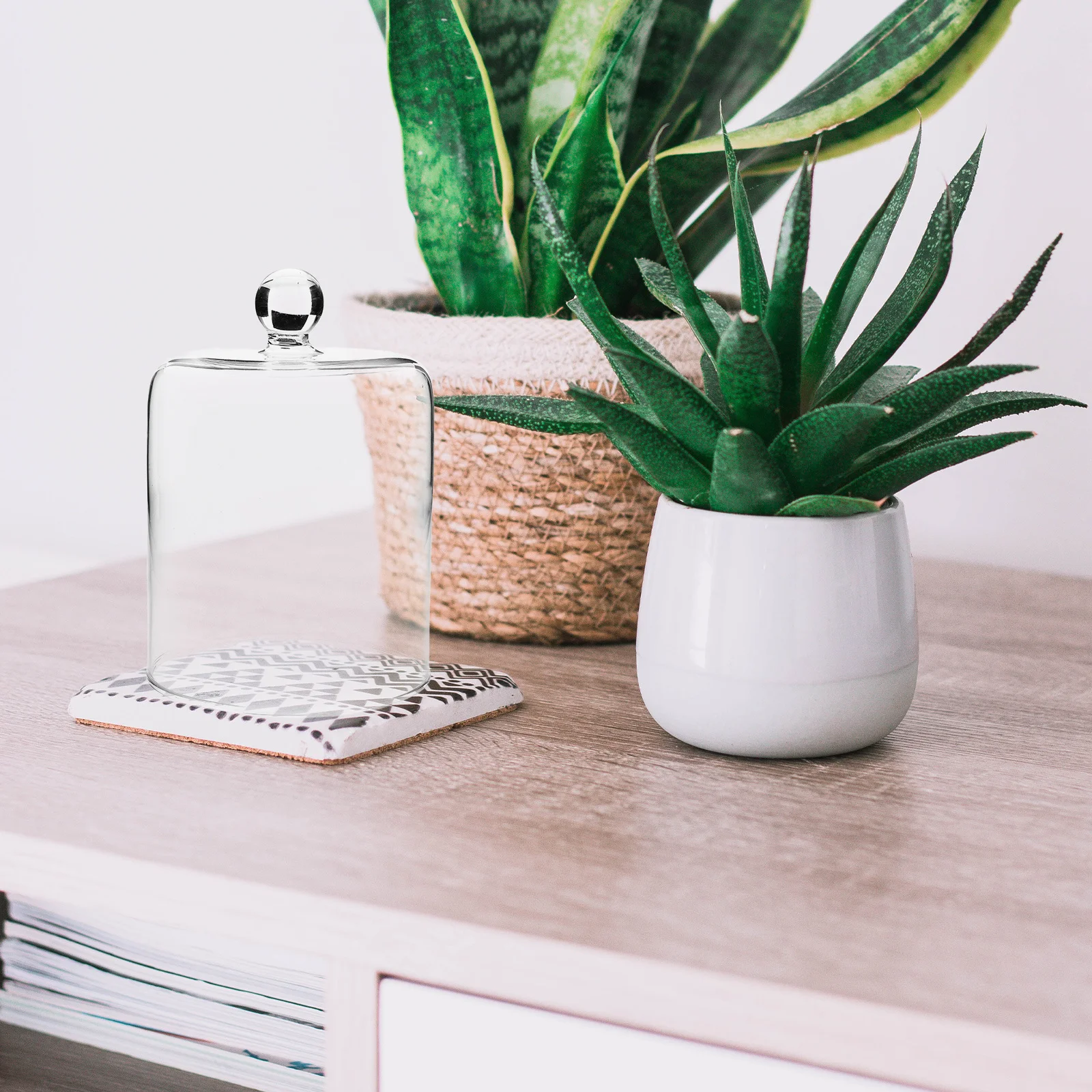 

Eternal Flower Cloche Glass Dome Display Case Transparent Cover for Preserved Flowers Lipstick Decor Cloche Dome for Room