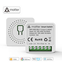 1 CH Module Automation Relay Smart Breaker Matter WIFI Smart SwitchVoice Control Homekit Siri Alexa Google Home