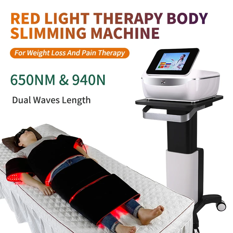 360 Full Body Red Light Therapy Bed Blanket Pain Reliefs LED Light Bag Near Infrared Red Light Therapy Panel