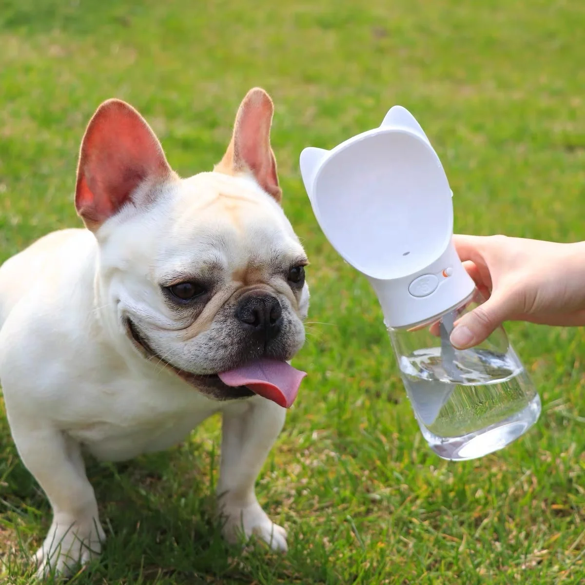 High Quality 2 In 1 Pet Bottle Dependable Travelling Outdoor Portable Bottle Pet Water Bottle