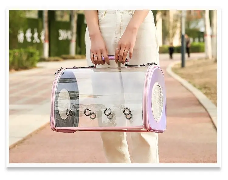 Sac de voyage portable transparent pour animaux de compagnie, porte-chien et chat, sortie, portable, grande capacité, simple