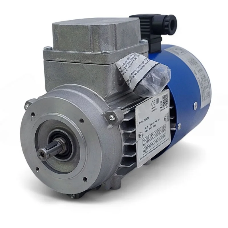 

Новый и оригинальный реверсивный двигатель переменного тока TS63D4