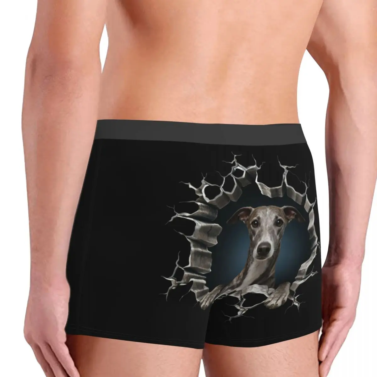 Ropa interior Breaking Through Greyhound para hombre, calzoncillos Boxer elásticos para amantes de los perros, pantalones cortos, bragas, calzoncillos, regalo de cumpleaños para el Día de San Valentín