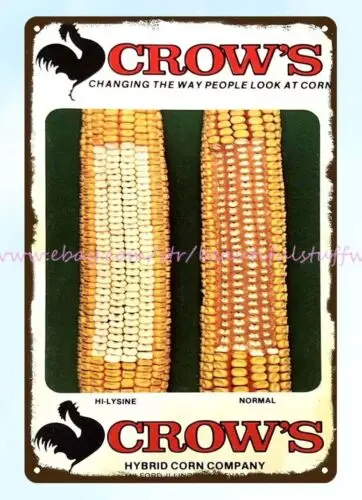 1978 79 Crow's Hybrids Seed Corn Farming metal tin sign garage signs and decor