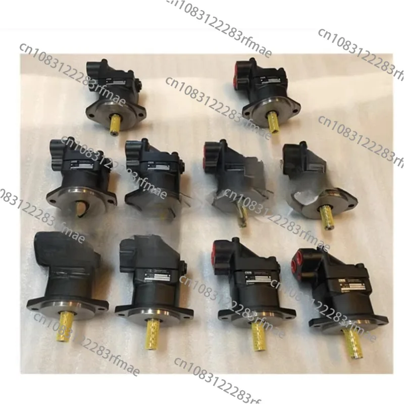 

F11 Series Hydraulic Pump F11-005-RB-CV-K-000 Motor