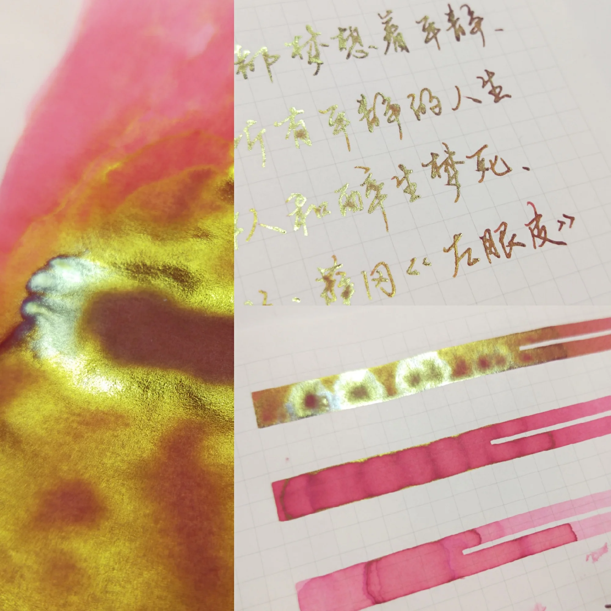 

Cherry Blosson Season 6th Sheen Chromatography Color Ink,painting Drawing Writing Dip Pen Ink 48ml