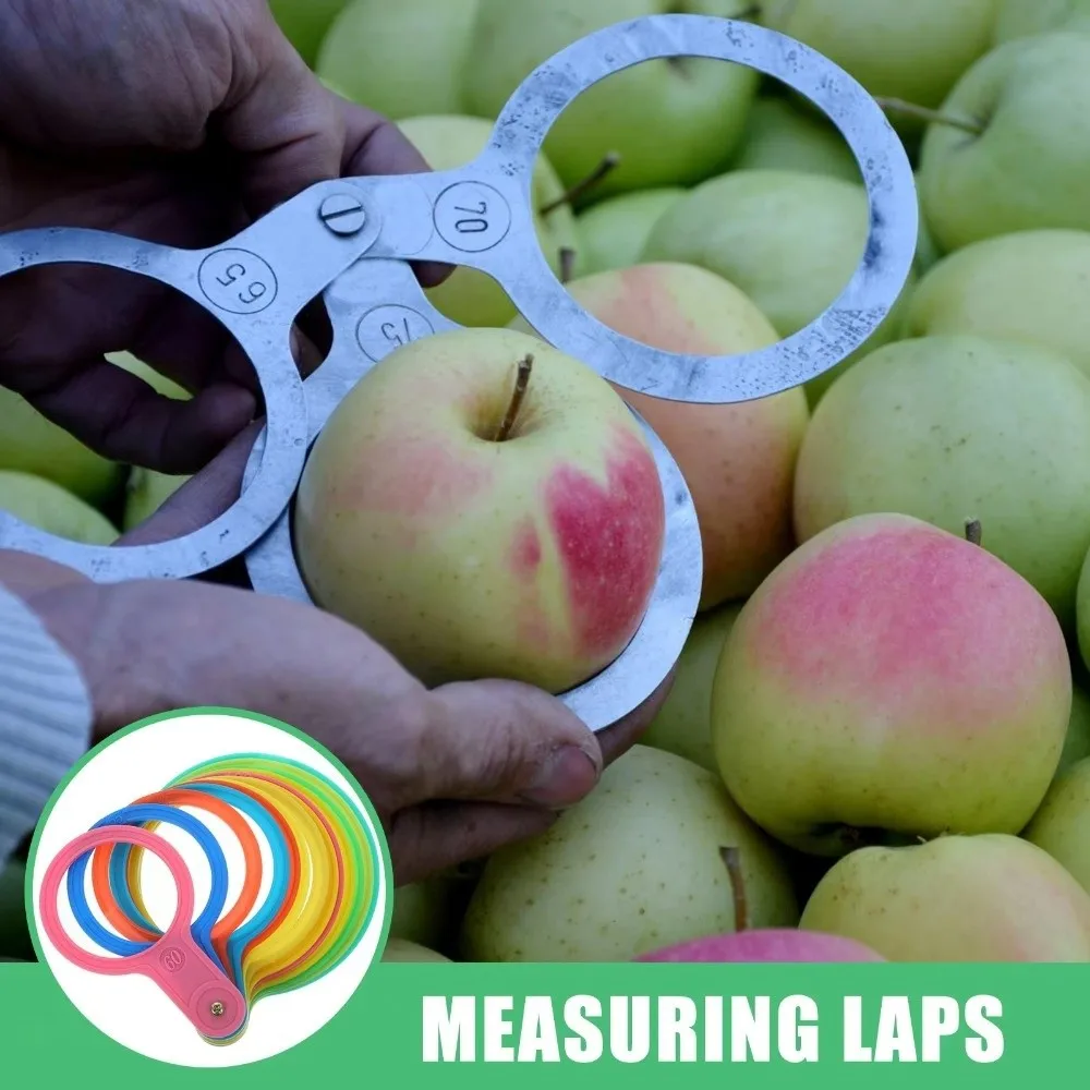 Plastic Fruit Measuring Gauges Multicolor Rivet Pivot Citrus Grading Equipment Portable 30-120mm Fruit Diameter Measuring Rings