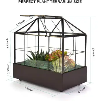 12 best sales זכוכית חממה - №1