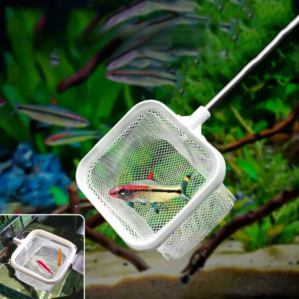 Aquarium Square Fishing Net With Suction Cup Extendable Long Handle Fishing Gear For Catching Fish Shrimp Tank Clean Accessories