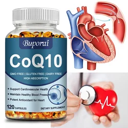 Coenzyme Q-10 - Natural Antioxidant for Cardiovascular Health Helps Boost Cellular Energy Output and Immune System