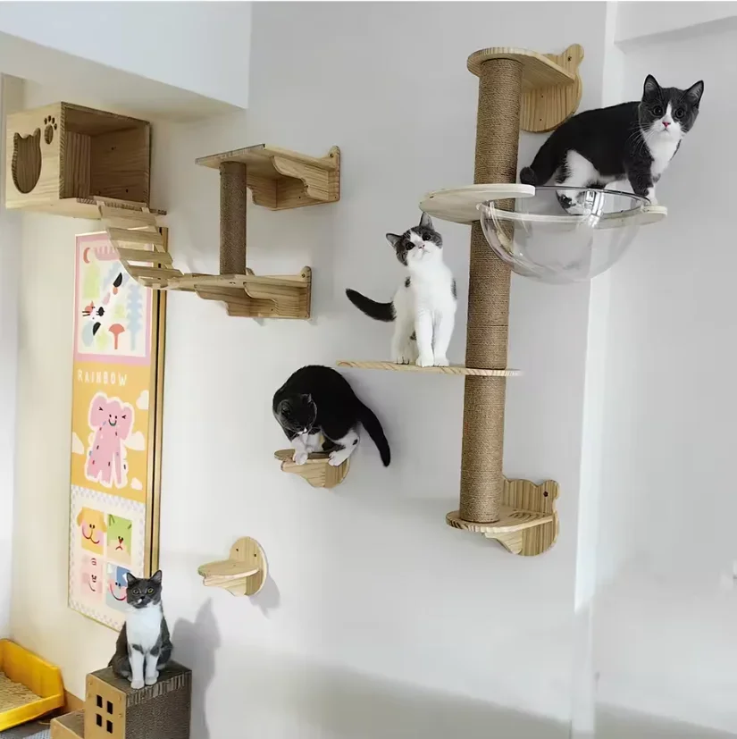 Cuerda trepar para gatos en pared con escalones madera maciza y sisal - imagen 5