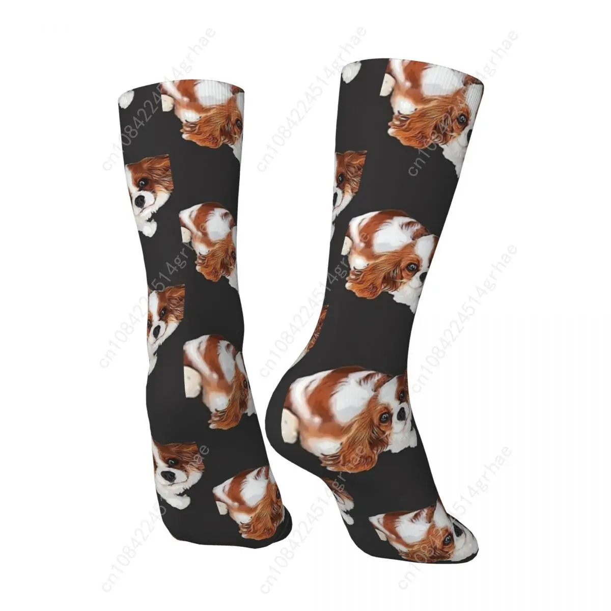 Cavalier King Charles Spaniel Opzoeken Sokken Leuke Hond Mode Kousen Herfst Anti Zweet Unisex Mannen Sokken Medium Zachte Sokken