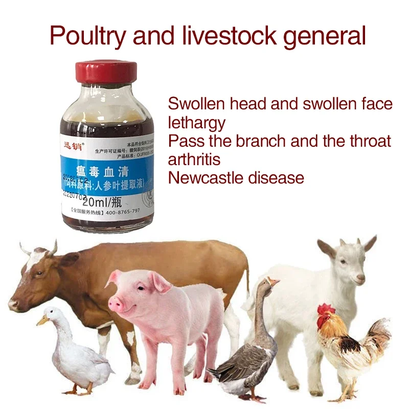 Poultry and livestock general chicken duck goose Newcastle disease head down closed eyes wings droop cattle and sheep spirit