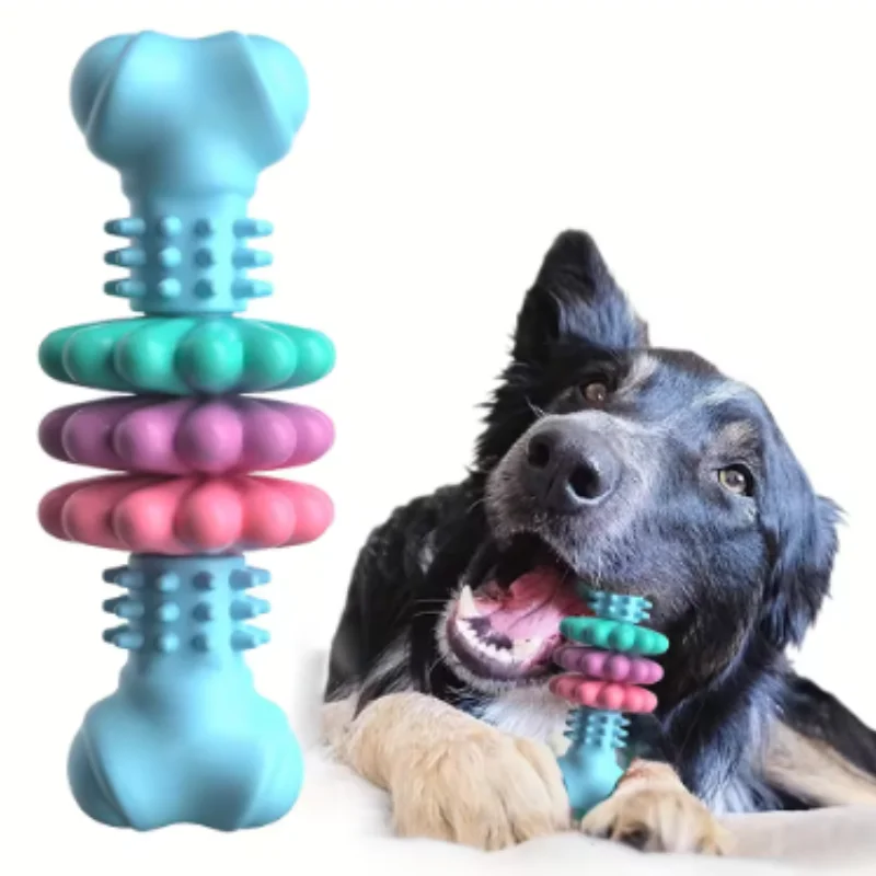 Pet Toys Dog Chew Meaty Bone Toys TPR Bone Type Multi-meat Pieces Bite Resistant Teeth Toy Set Dog Bone Toy Supplies