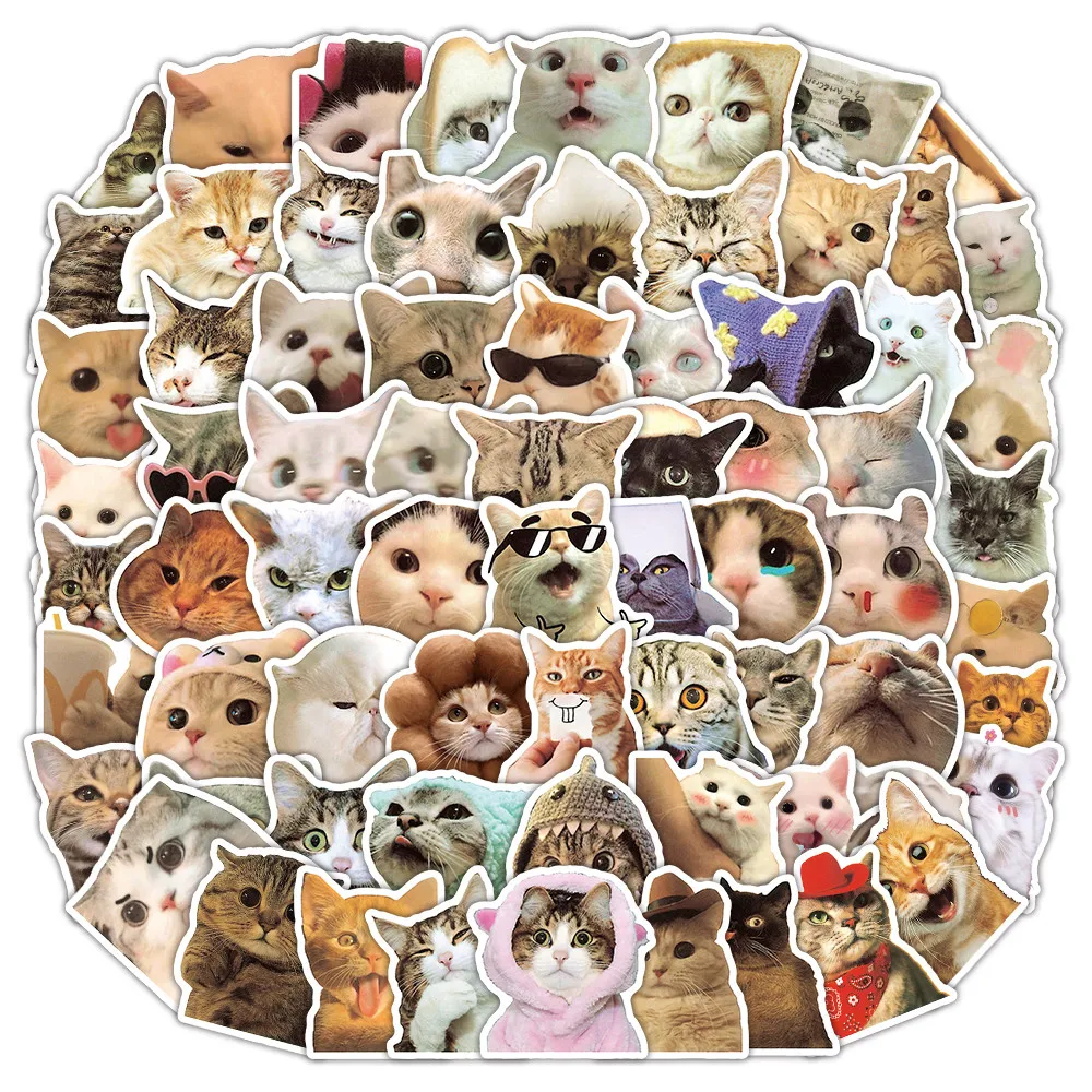 100 Stück entzückende Katzen-Emoji-Graffiti-Aufkleber, Kawaii-Kätzchenkopf, Doodle-Aufkleber, niedliche Dekoration für Laptops, Flaschen (Anime Worlds Store)