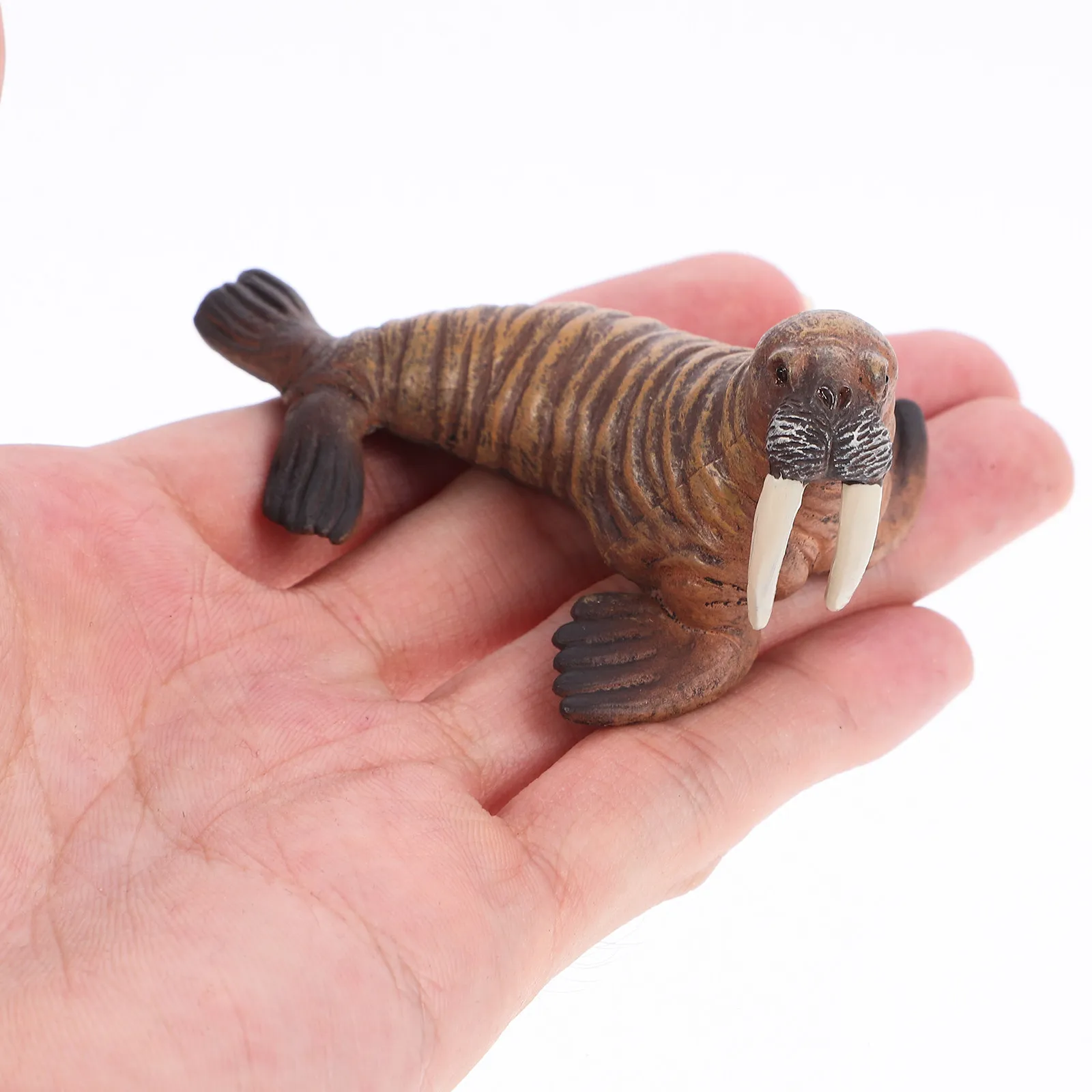 

1Set Realistic Simulation Sea Animal Sea Lion Walrus Craft Small Marine Animal Decorative Educational Ornament for Home Fish