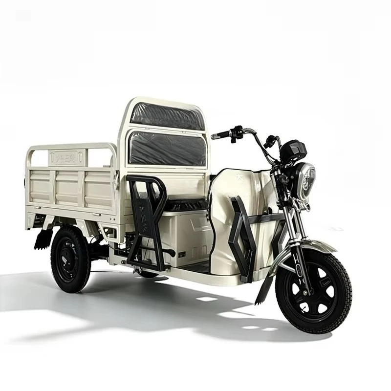 Tc 2026 Hot-selling three-wheeled motorcycle for freight, 60V electric tricycle, adult tricycle, made in China