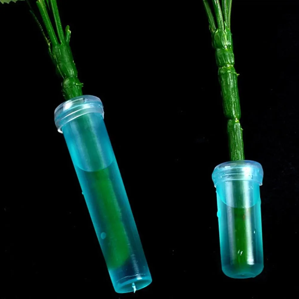 

1Set Flower Nutrient Tubes Plastic Floral Water Containers Essential for Florist Long-Lasting Flower Fresh-Keeping