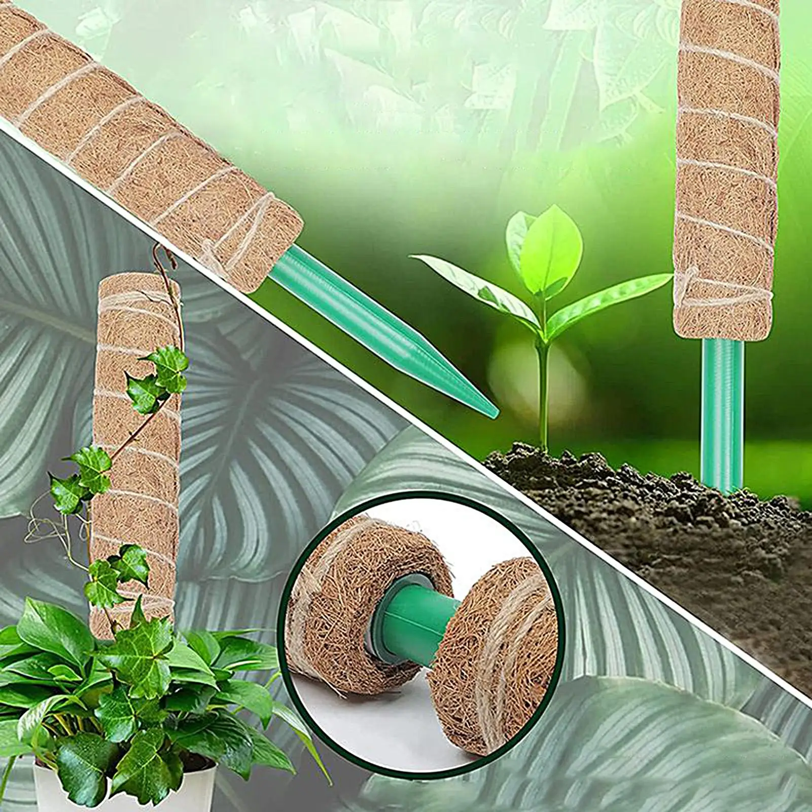 

Опора для вьющихся растений, палка-опора для пальм, удлинитель для поддержки лиан, опоры для горшечных растений, моховая опора, садовый инструмент, декор для поддержки цветов