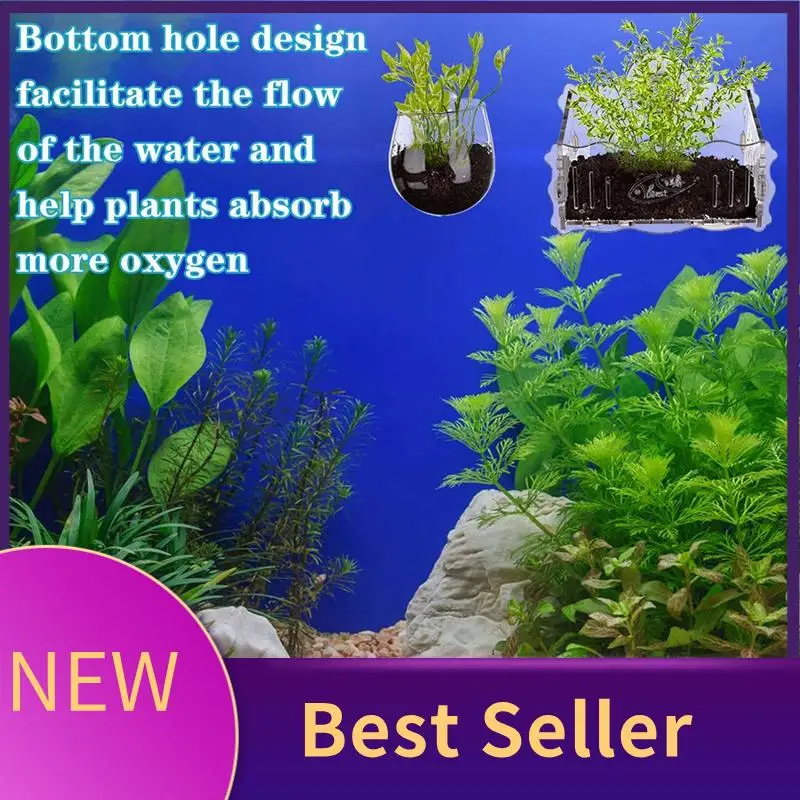 

Aquatic Plant Cups Crystal Glass Plant Cups Aquatic Plant Cups With Suction Enlarged Acrylic Aquatic Plant Cups Plant