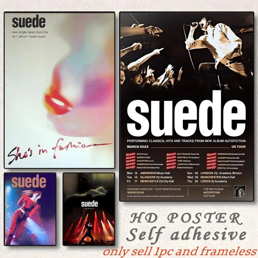 S-suedes Band Singer Rock Poster Gift With Prints Home Bedroom Living Room Decoration Promotion And Display