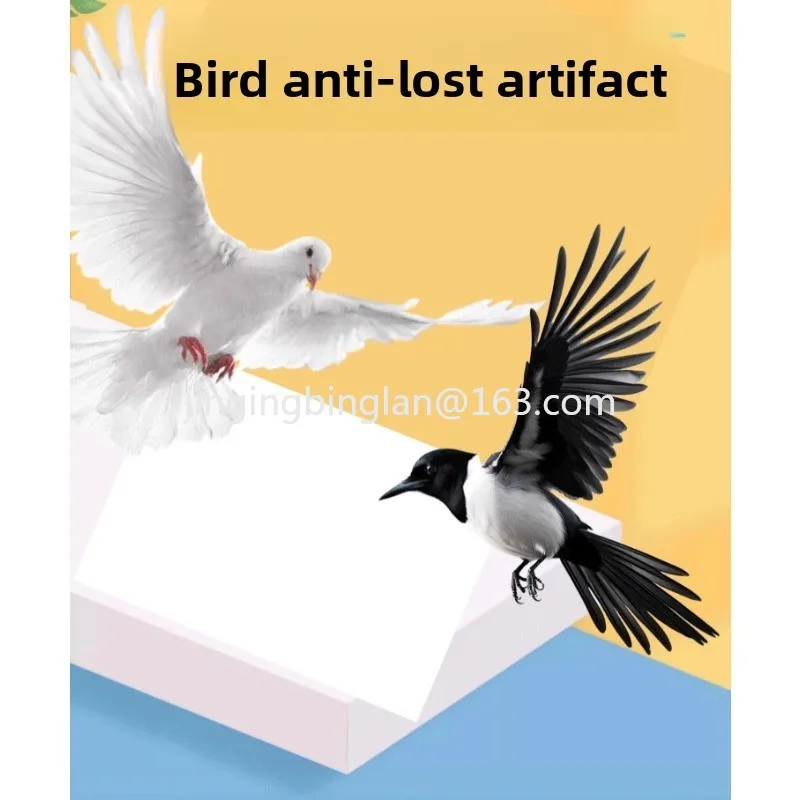 In 2026, the manufacturer's hot-selling pigeon anklet ring, parrot anti-lost bird accessories, pet anti-lost accessories