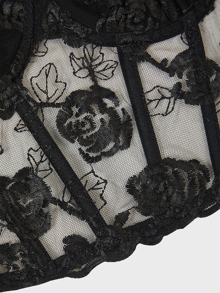 Sexy Pure Desire V-hals Effen Kleur Geborduurd Visgraat Corset Kant Bloem Veelzijdig Korte Band Vest Dames Strakke Top