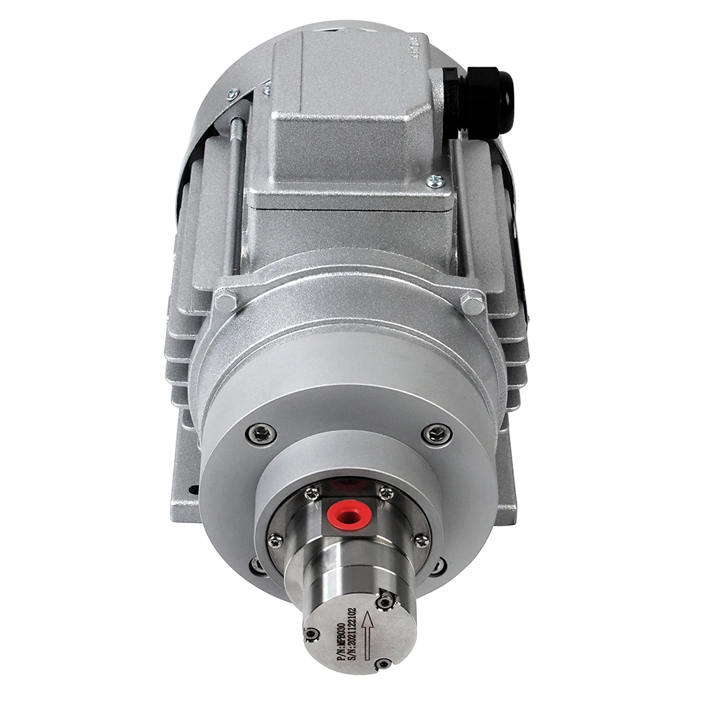Magnetic Drive Booster Circulation Gear Pump Heavy Oil Water Pump For Industrial Boiler Fuel Circulation