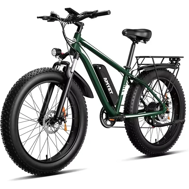 Fine Workmanship Electric Beach Bicycle Powerful Lithium Battery 1000 Watt Motor Electric Bicycle with Light Emitting Diode