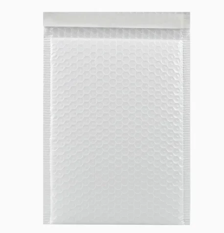 This is a link for a replacement item. If you purchase it, you will only receive a plastic bag.