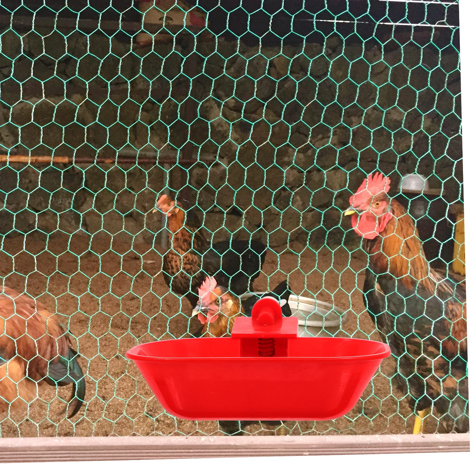 

5 Pcs Chicken Duck Goose Waterer Bowls PP Automatic Drinking Cups Large Capacity Farm Poultry Hydration Solution