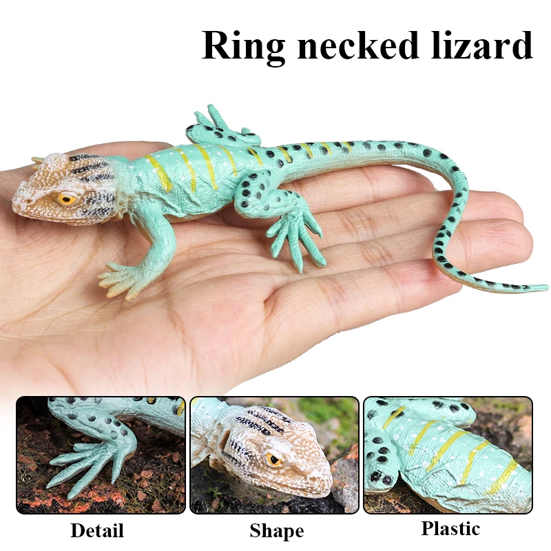 Oenux Reptile Animals Wild Chameleon Lizard Lguana Thorny Devil