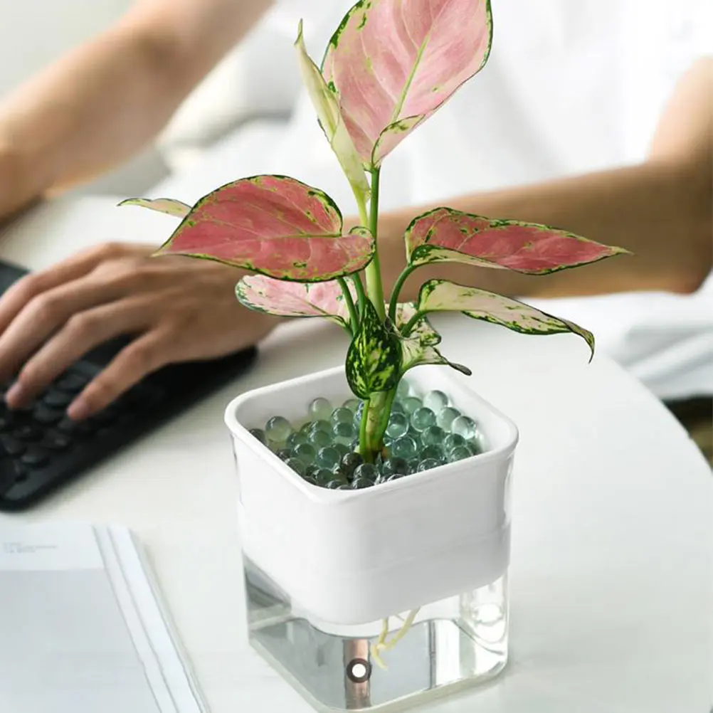 

1pc Self Watering Plant Pot Automatic Water Absorption Durable Plastic Flower Pot Transparent Water Level Indicator Office Home