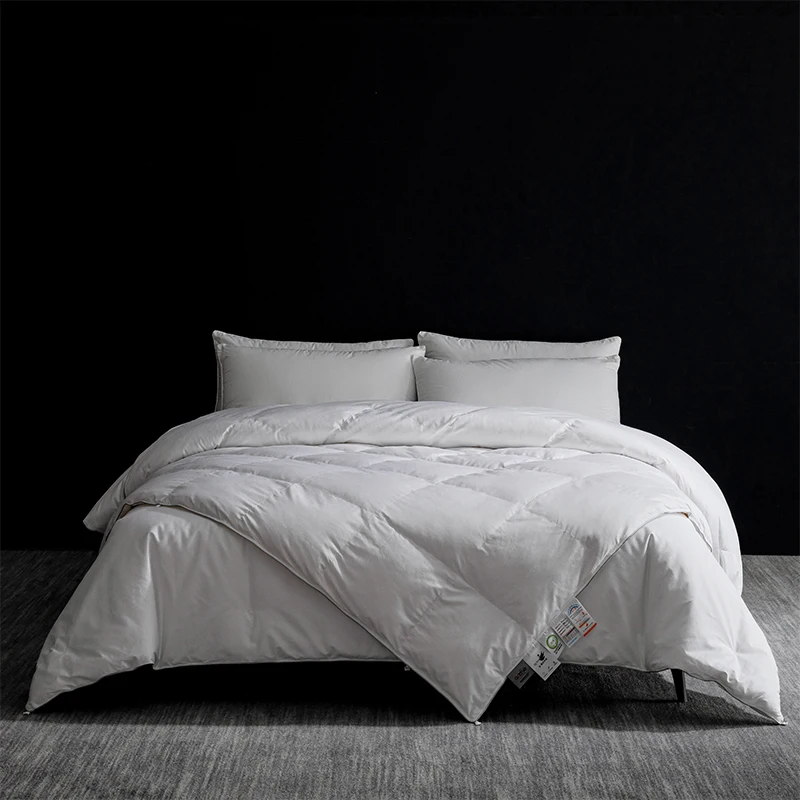 2025 New High-End Silk-Quilt & Goose Down-Quilt Set, All Sizes, Unlock All-Season Comfort.