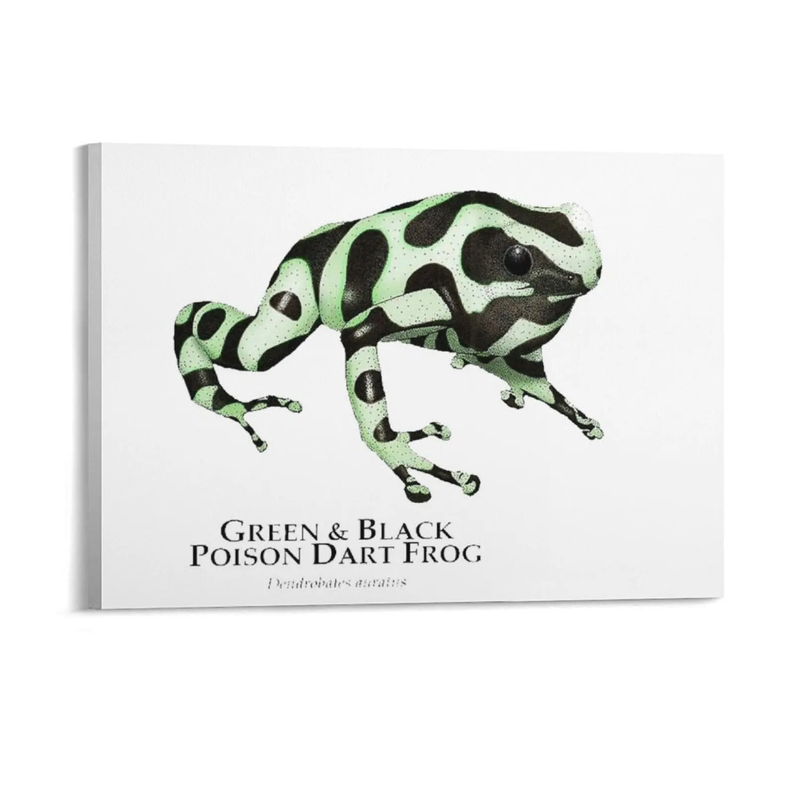 Green And Black Poison Dart Frog Dendrobates  Comes Canvas Painting Design Framed Wall Paintings