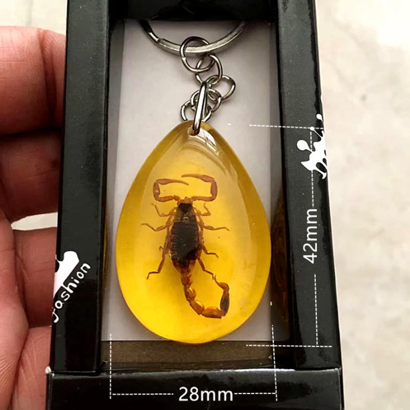 Random Style 1PC Amber Key Chain Insect Specimen Chain Pendant Scorpion Scarab Seven Star Ladybug Wasp Butterfly Car Key Ring