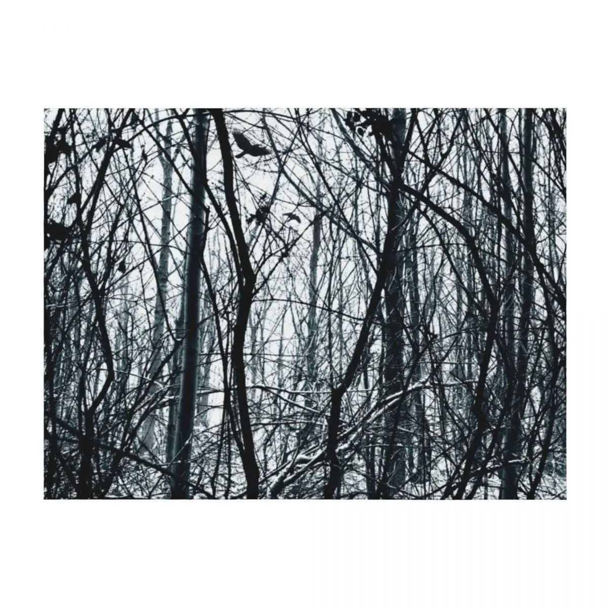 

Ravenholm Throw Blanket Soft Beds Winter beds Decorative Sofas Decorative Sofa Blankets